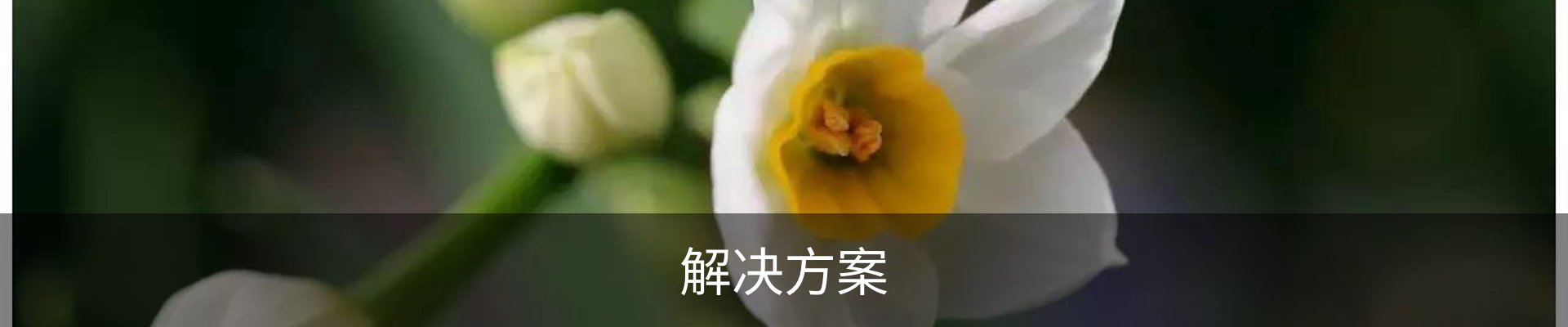 解决方案
