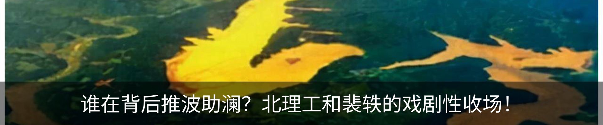 资讯动态