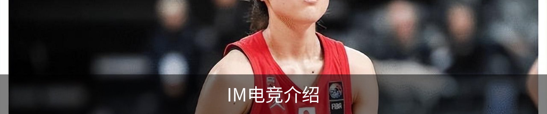 IM电竞介绍